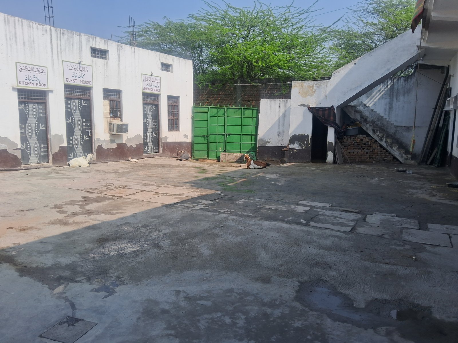 Sehen of jamia